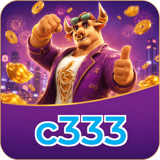 c333 Security