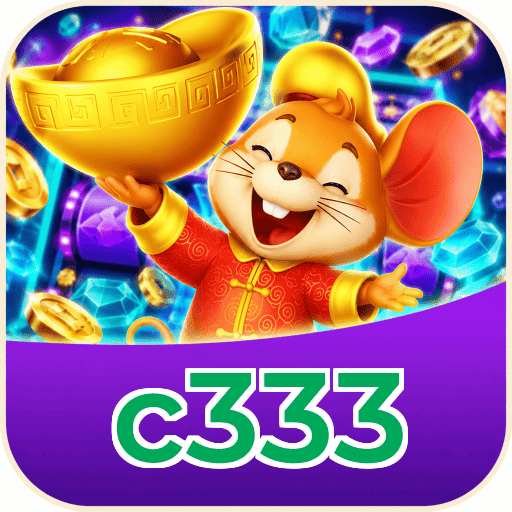 c333 Interface
