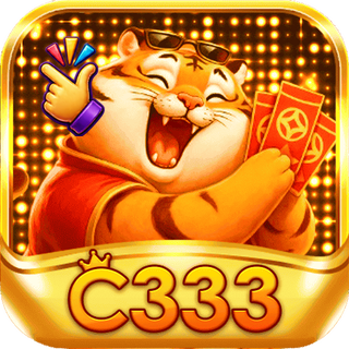 c333 Logo